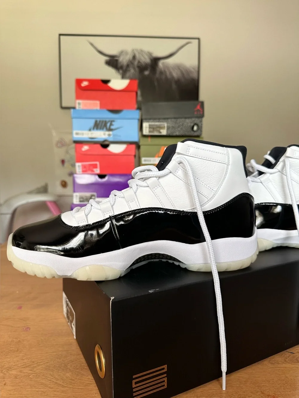 Jordan 11 Retro- DMP Gratitude (2023) (VNDS)